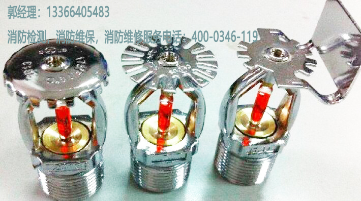 ��������ϵ�y�z�y